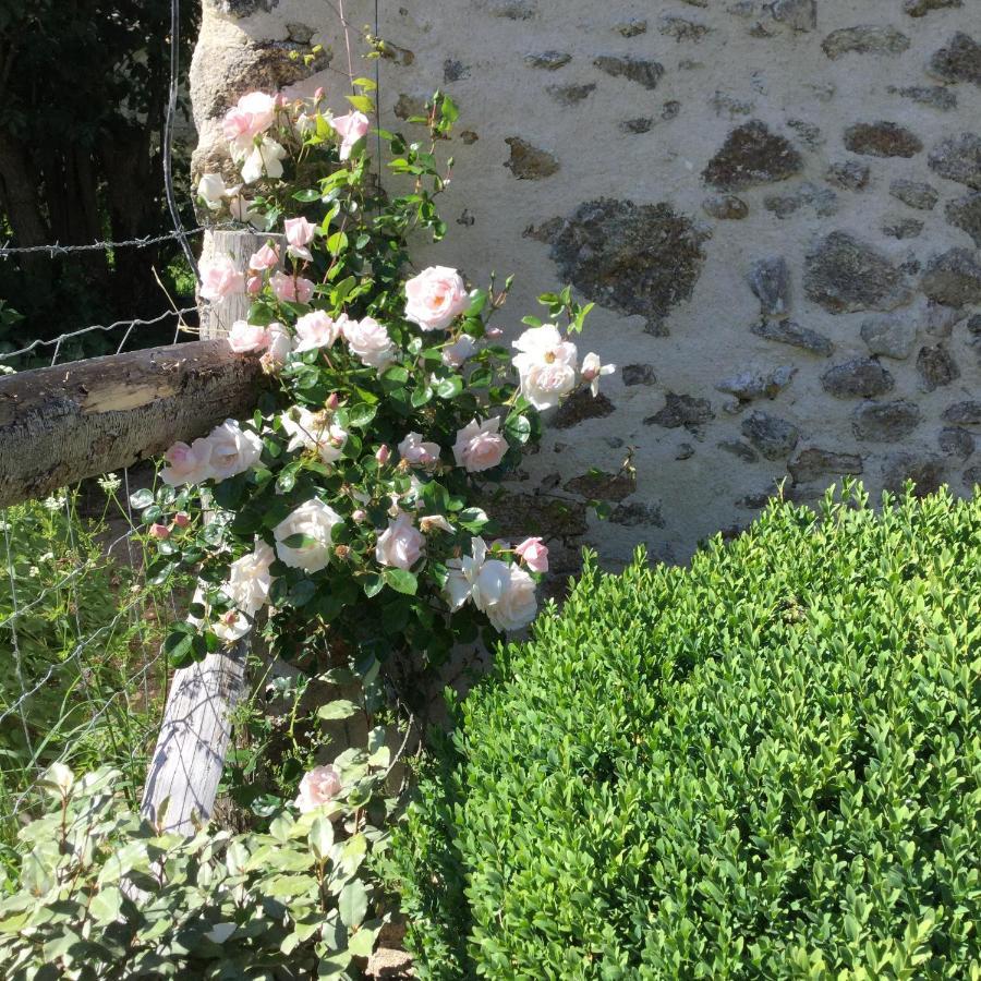 Les Epis Du Vent Bed and Breakfast Adilly Exteriör bild
